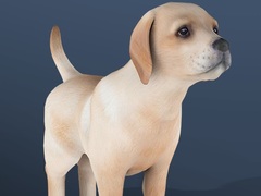 Lojë IDLE Pet