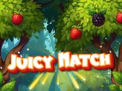 Lojë Juicy Match