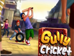 Lojë Gully Cricket