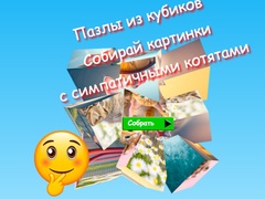 Lojë Jigsaw Cube Puzzles Collect Pictures with Cute Kittens