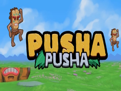 Lojë Pusha Pusha
