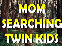 Lojë Mom Searching Twin Kids