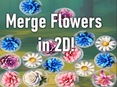 Lojë Merge Flowers in 2D!