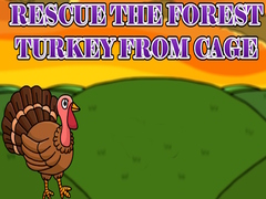 Lojë Rescue the Forest Turkey from Cage