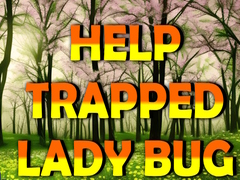 Lojë Help Trapped Lady Bug