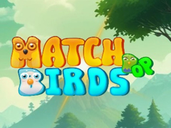 Lojë Match Pop Birds