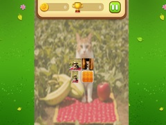 Lojë Farm Cat Memory Match