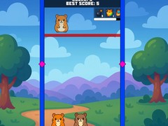 Lojë Evolution Of Hamsters