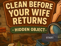 Lojë Clean Before Your Wife Returns Hidden Object