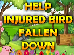 Lojë Help Injured Bird Fallen Down