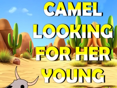 Lojë Camel Looking For Her Young