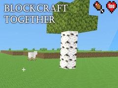 Lojë BlockCraft Together