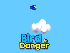Lojë Bird in Danger