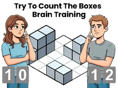 Lojë Try To Count The Boxes Brain Training