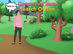 Lojë Concerned Mom Search Of Son