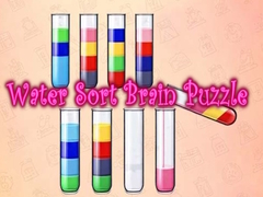 Lojë Water Sort Brain Puzzle