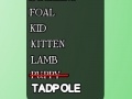 Lojë Word search