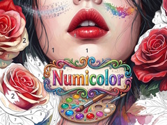 Lojë Numicolor