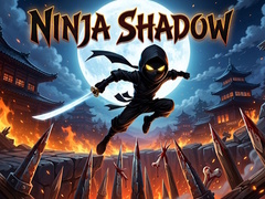 Lojë Ninja Shadow