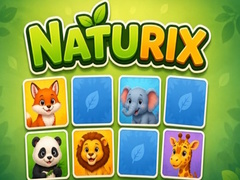 Lojë Naturix