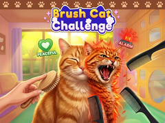 Lojë Brush Cat Challenge 