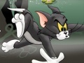 Lojë Tom And Jerry Chase In Marsh