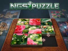 Lojë NGS Puzzle