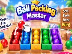 Lojë Packing Master Puzzle