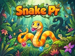 Lojë Snake Pr