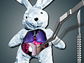 Lojë Save The Bunny