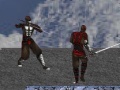 Lojë 3D Flash Ninja