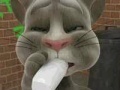 Lojë Talking Tom Cat