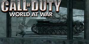 Call of Duty: Bota në Luftë 